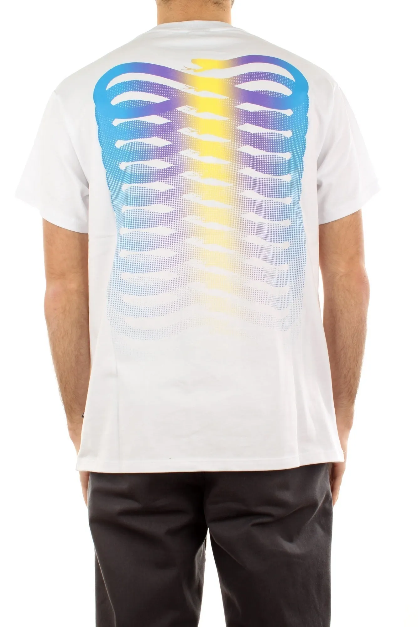 ----------T-Shirt Ribs Gradient---------